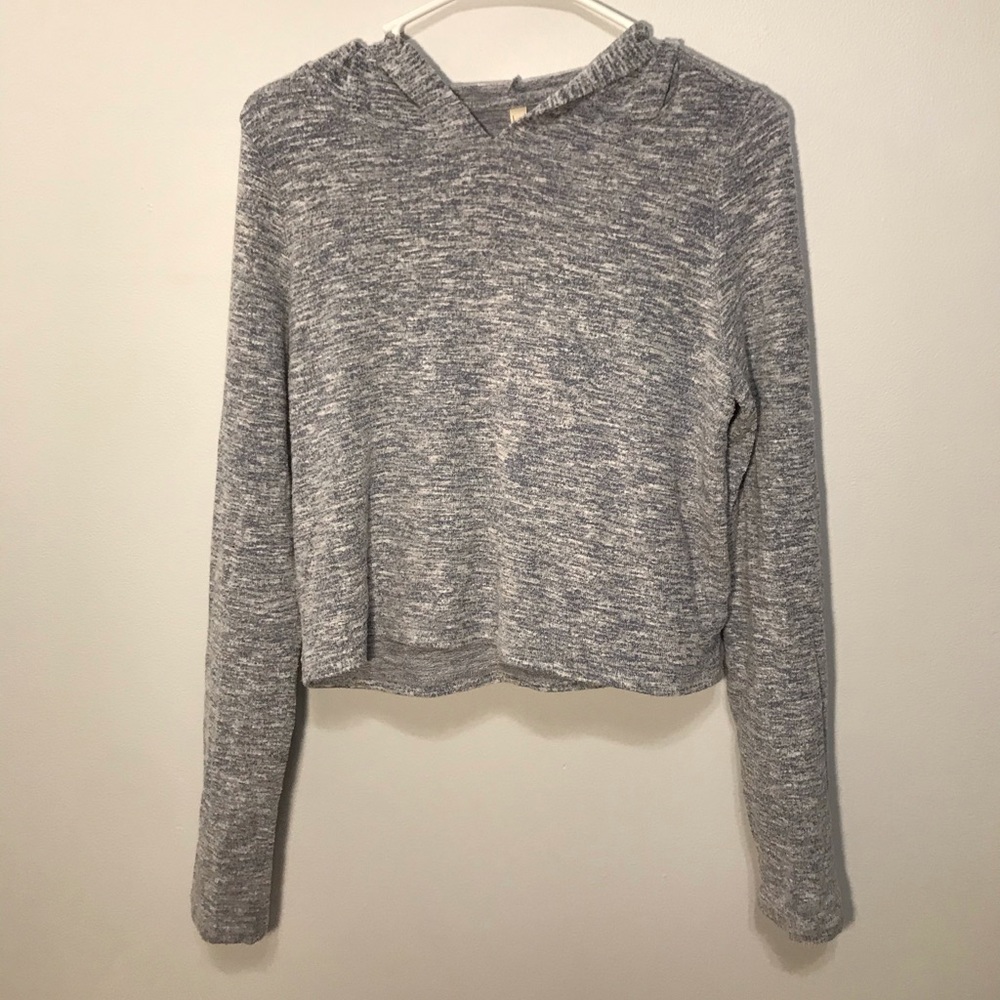 Cropped long sleeve hooded tee